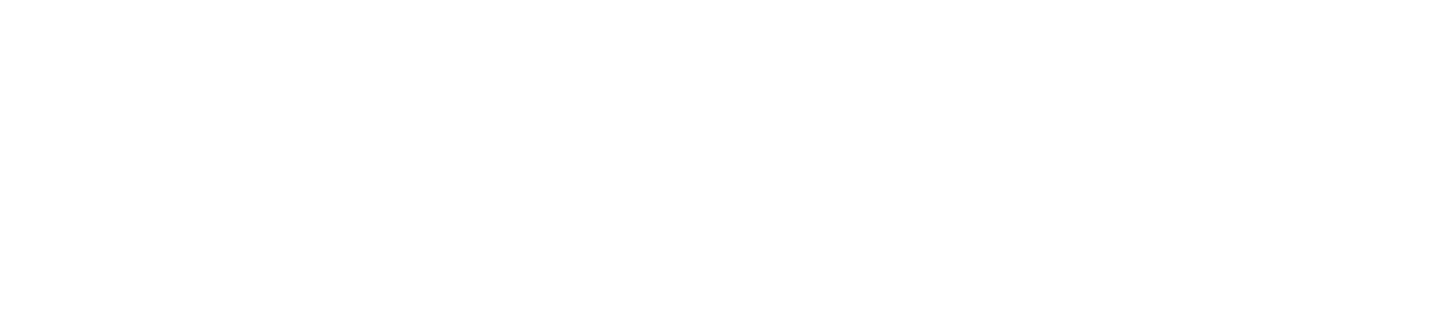 Fleverage