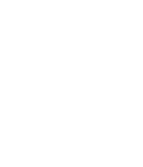 Fleverage